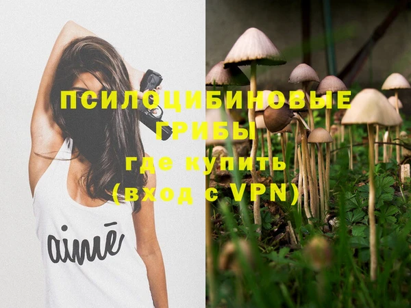 прущие грибы Арсеньев